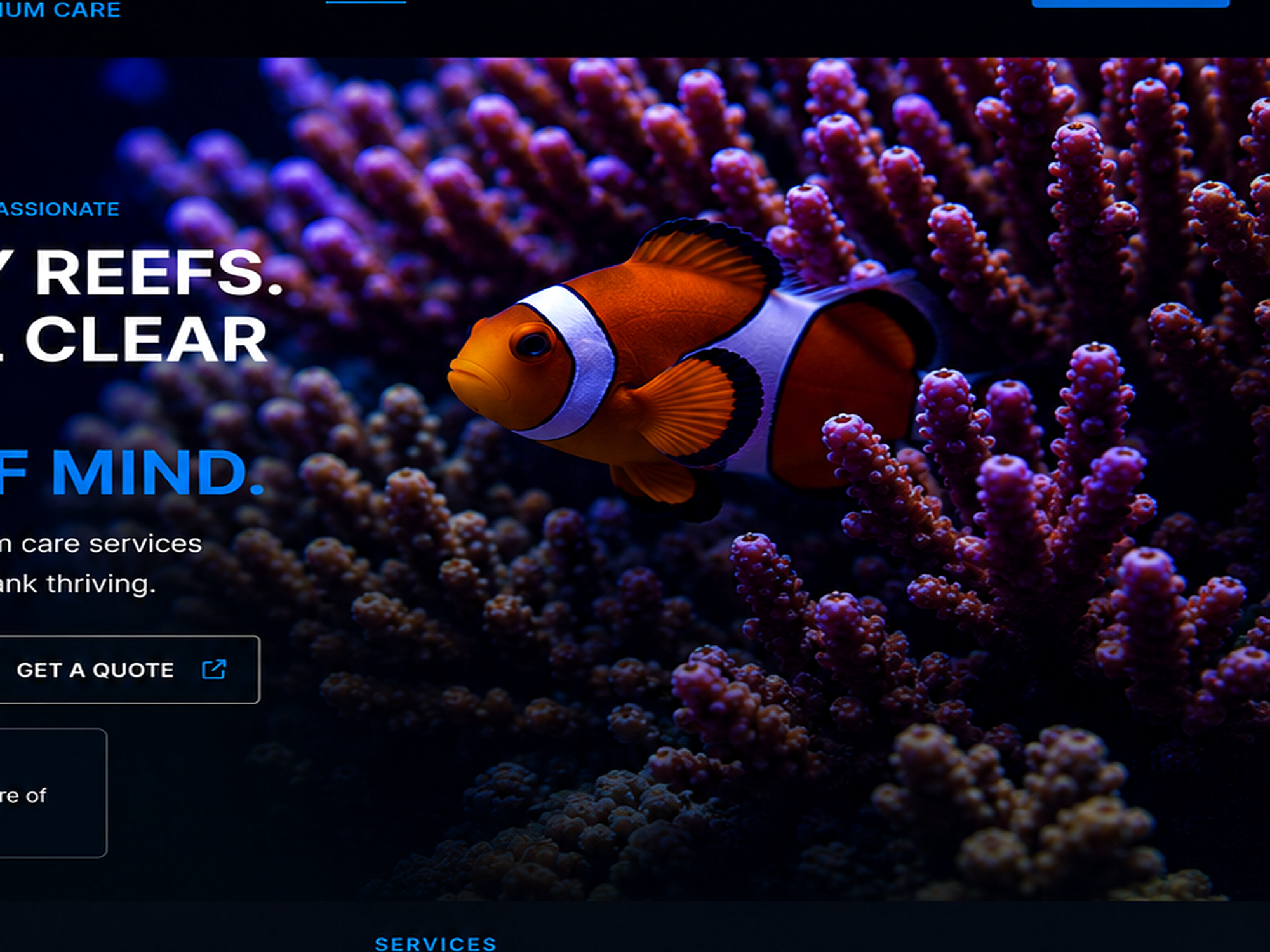 Colorful Acropora reef with clownfish